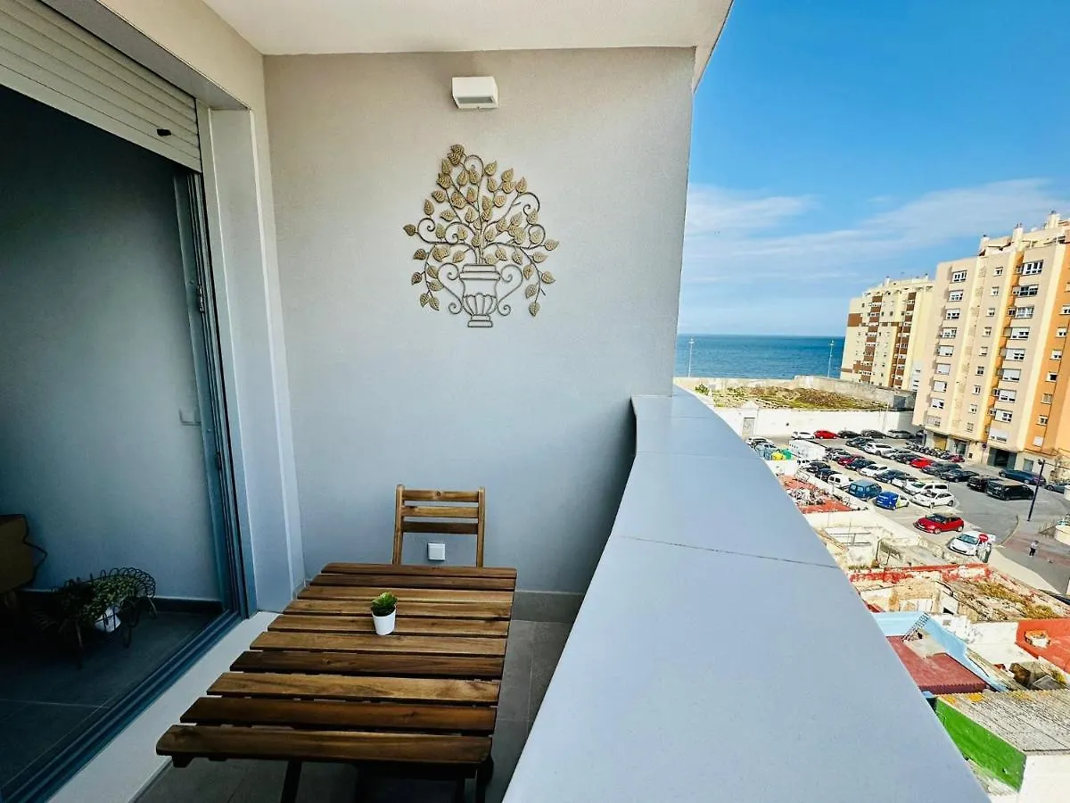 Home Arena Blanca Grupo Ac Gestion Cadiz Spain